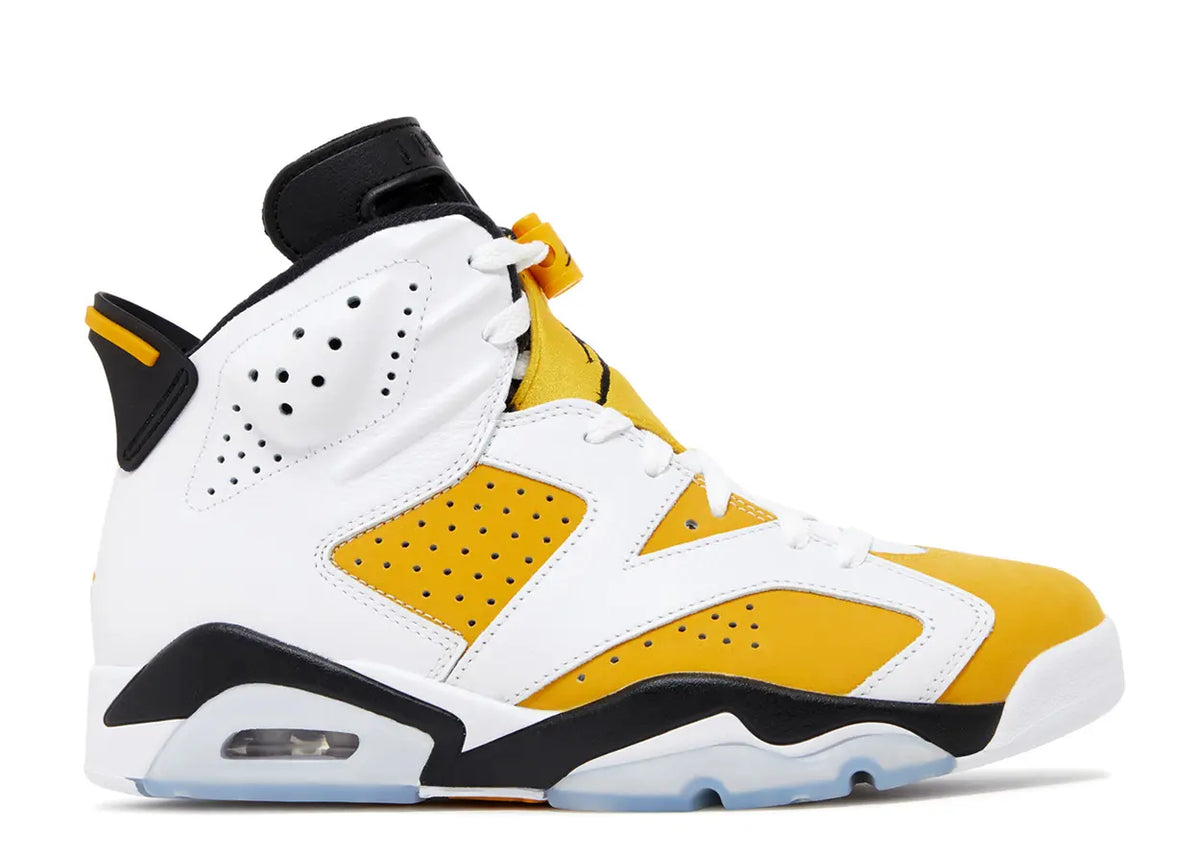 Air Jordan 6
