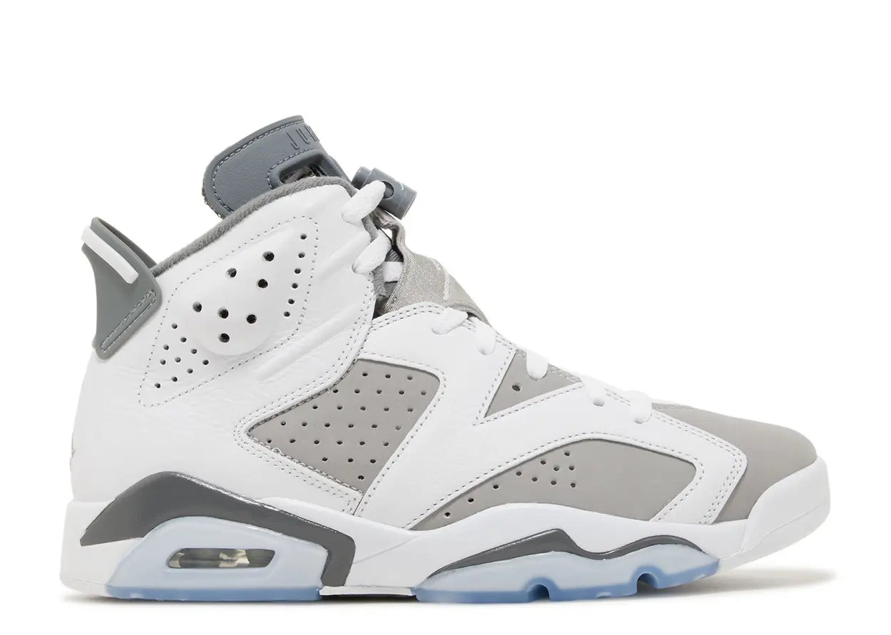 Air Jordan 6