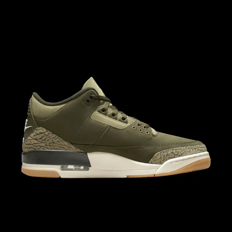 Air Jordan 3 “Family Affair”