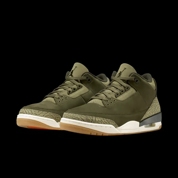 Air Jordan 3 “Family Affair”