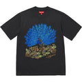 Peacock S/S Top